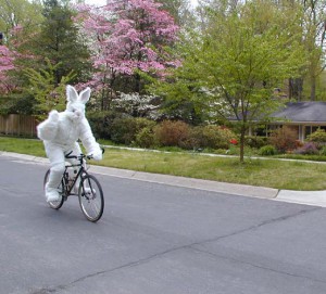 Bike Bunny